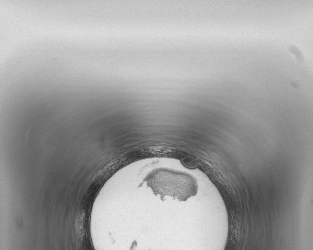 X0000115420319200912011251