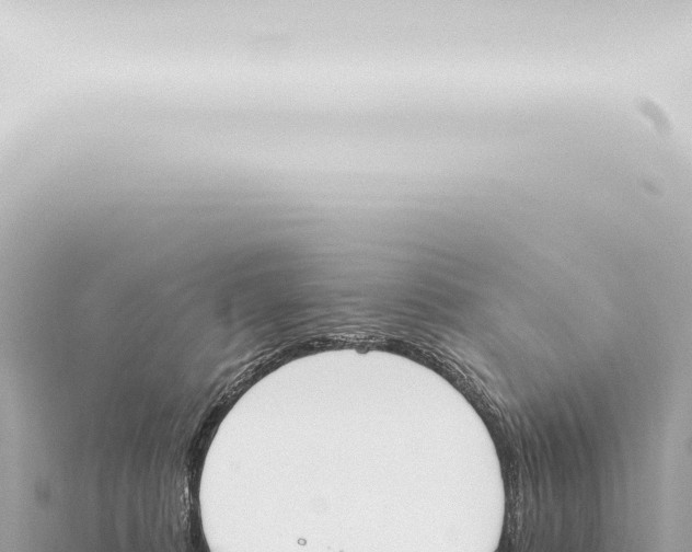 X0000115420320200912011251