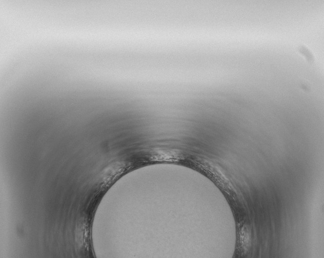 X0000115420322200912011251