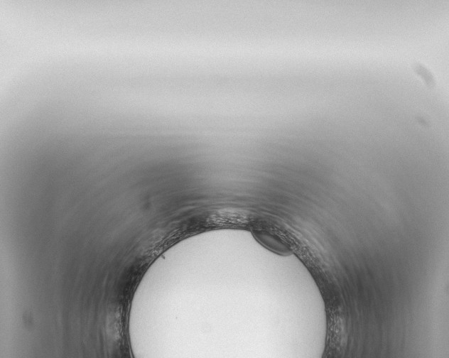 X0000115420323200912011251