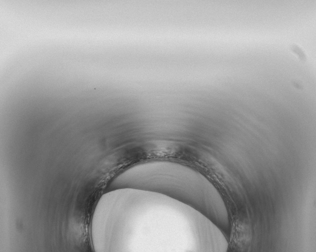 X0000115420324200912011251