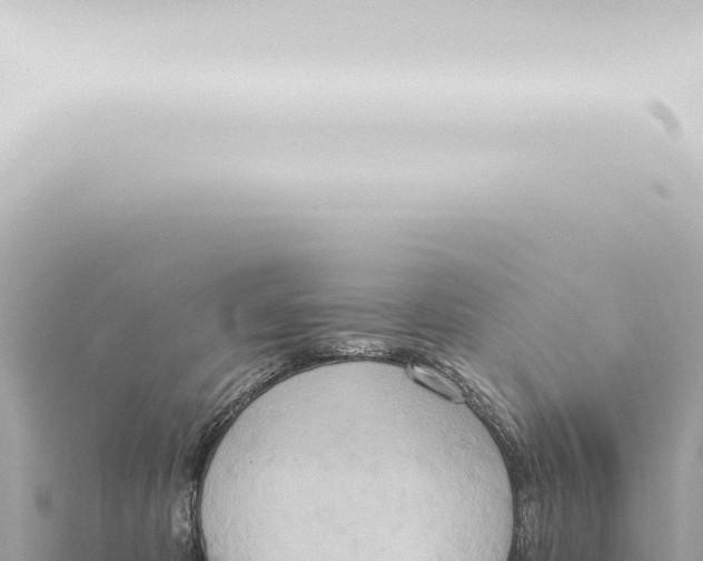 X0000115420325200912011251