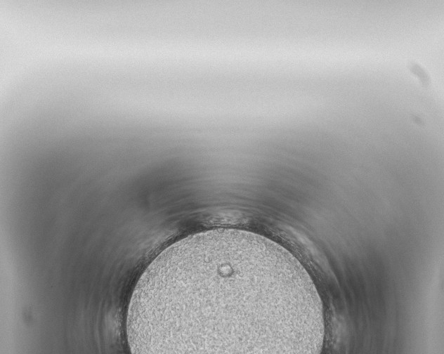 X0000115420326200912011251