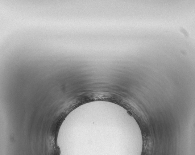 X0000115420327200912011251