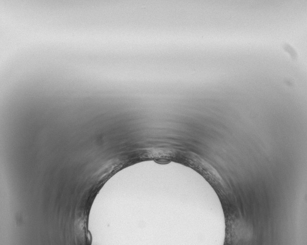 X0000115420329200912011251