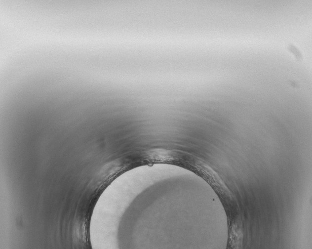 X0000115420330200912011251