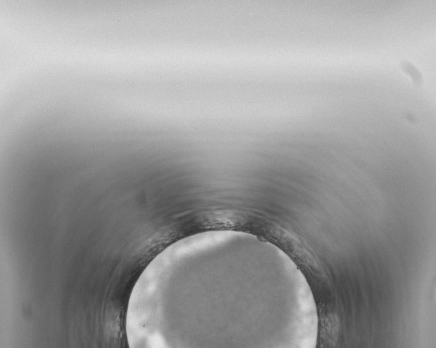 X0000115420331200912011251