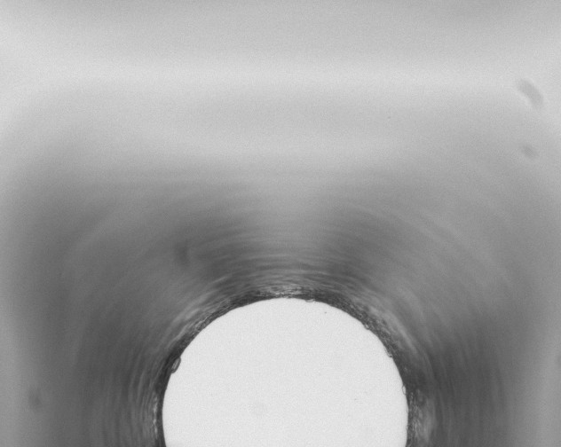 X0000115420332200912011251