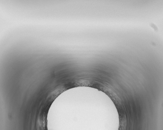 X0000115420334200912011251