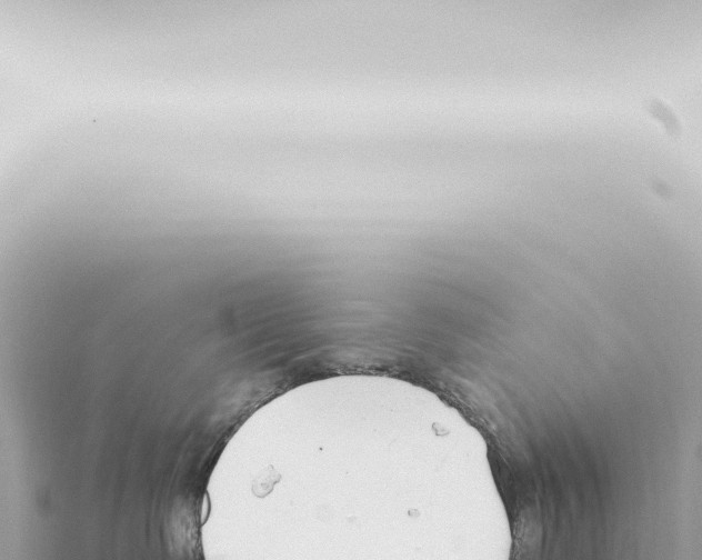 X0000115420335200912011251