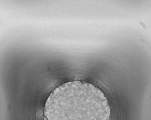 X0000115420336200912011251