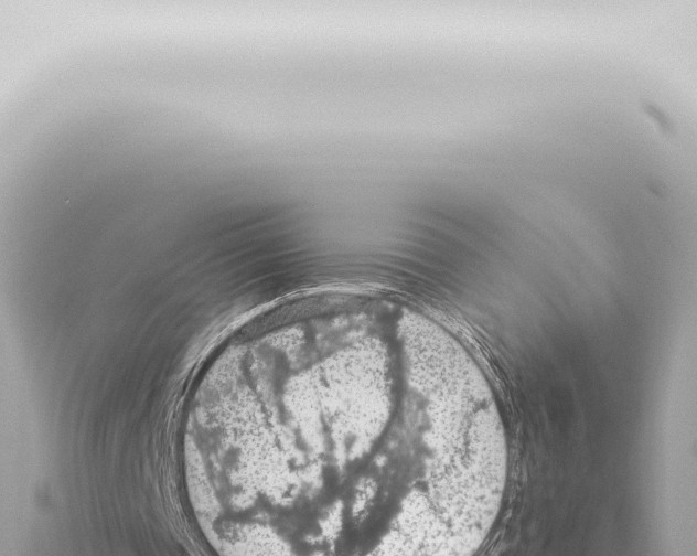 X0000115420337200912011250