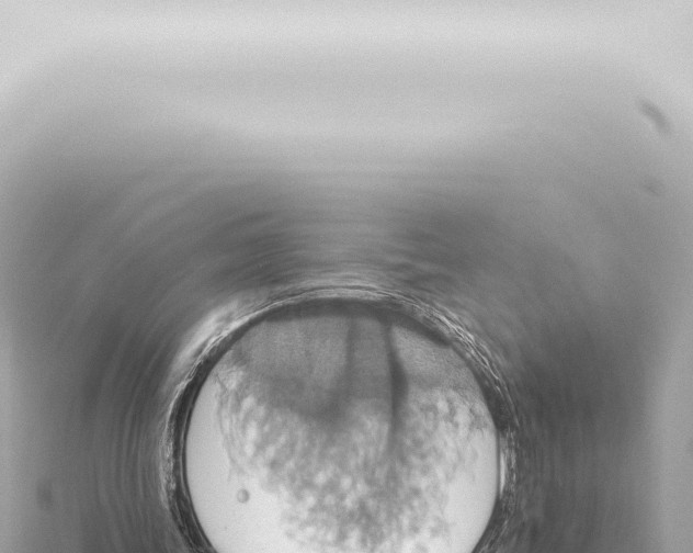 X0000115420339200912011250