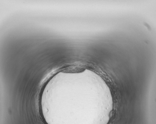 X0000115420341200912011250