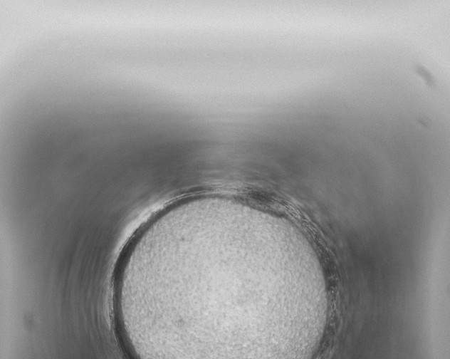 X0000115420342200912011250