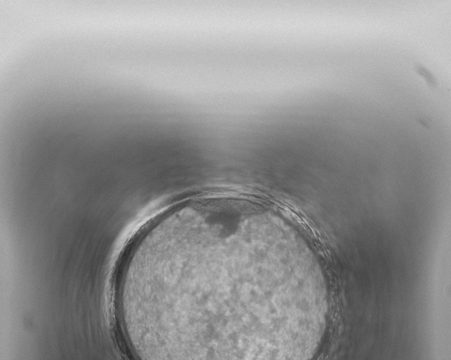 X0000115420343200912011250