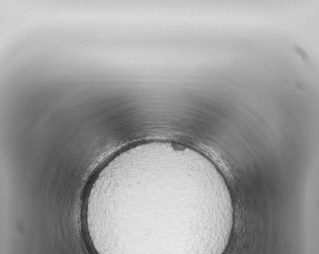 X0000115420346200912011251