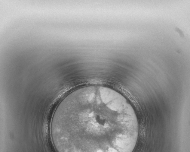 X0000115420347200912011251