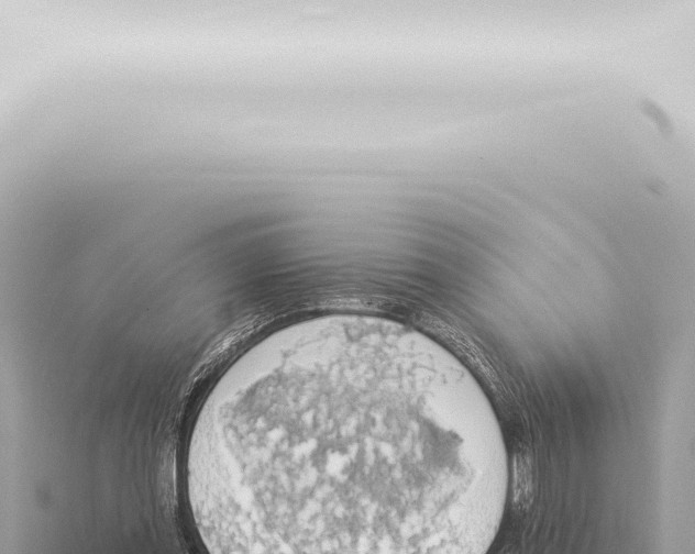 X0000115420349200912011251