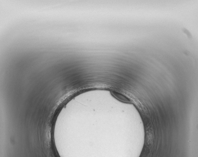 X0000115420350200912011251