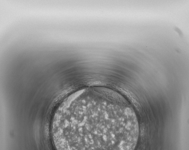 X0000115420353200912011251