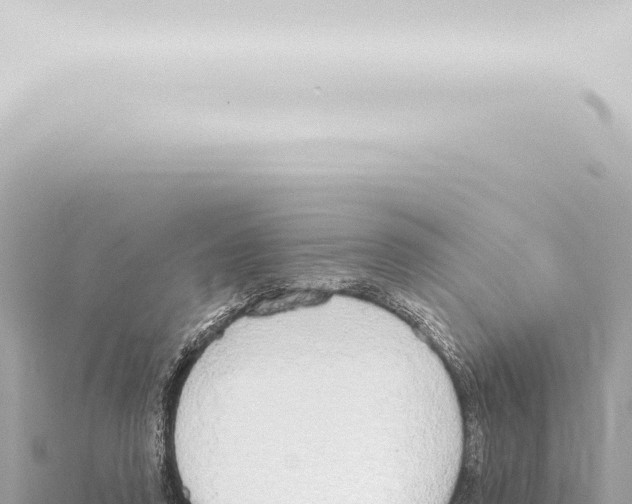 X0000115420354200912011251