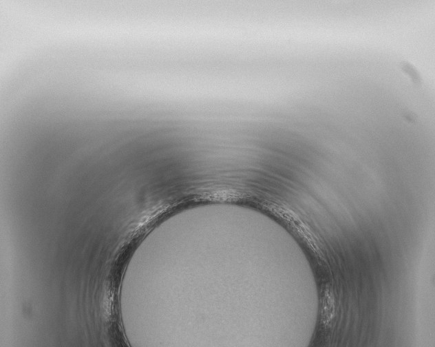 X0000115420355200912011251