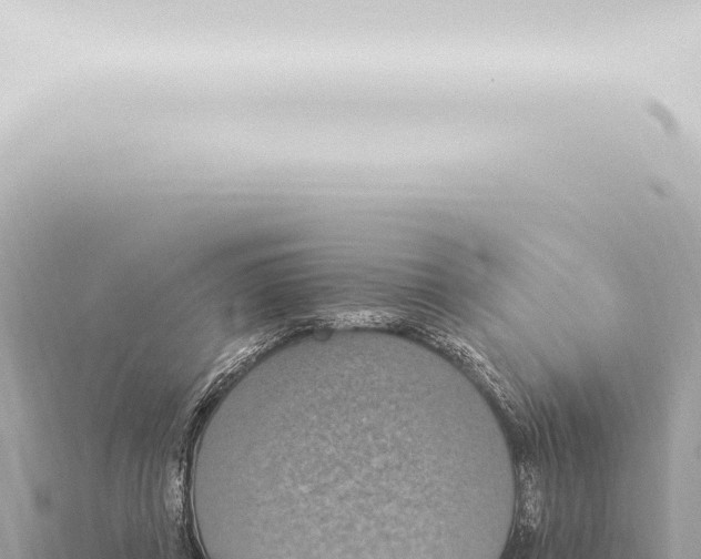 X0000115420357200912011251