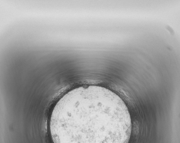 X0000115420358200912011251