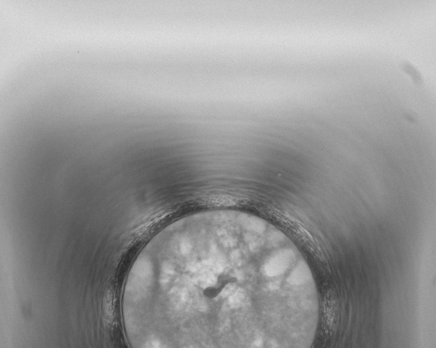 X0000115420359200912011251