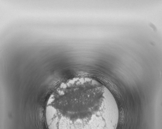 X0000115420361200912011251