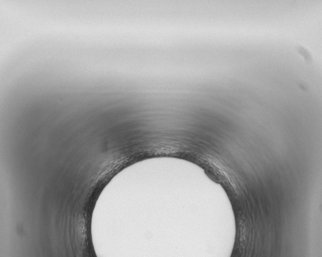 X0000115420362200912011251