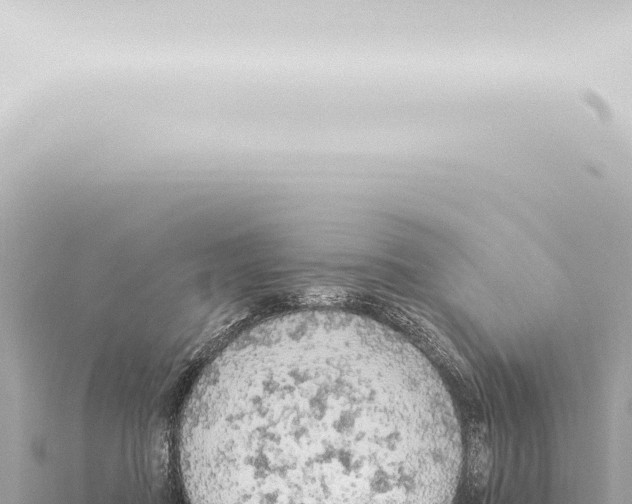 X0000115420363200912011251