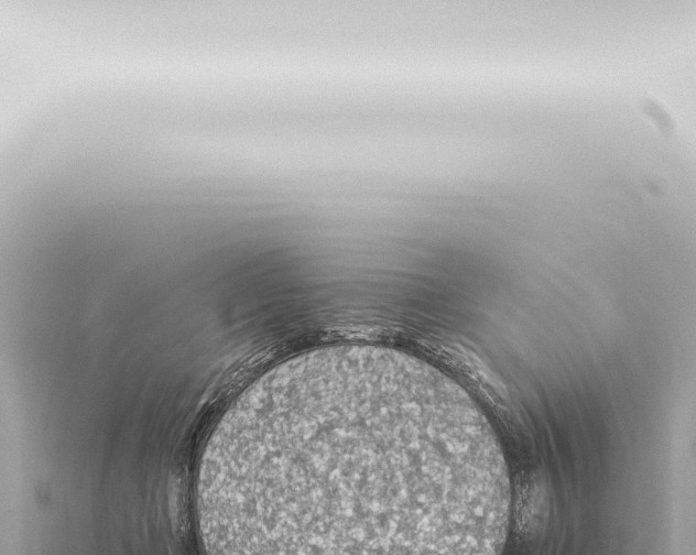 X0000115420365200912011251