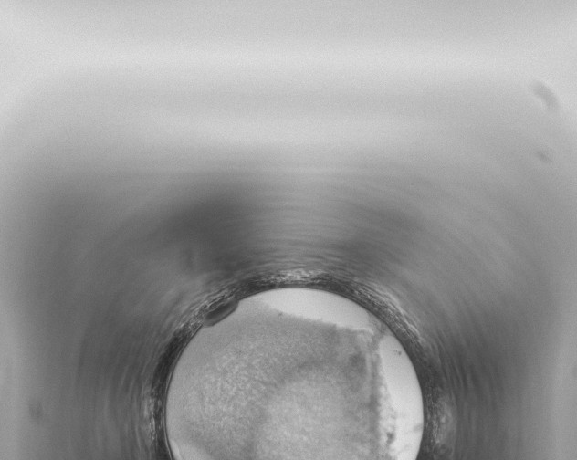 X0000115420366200912011251