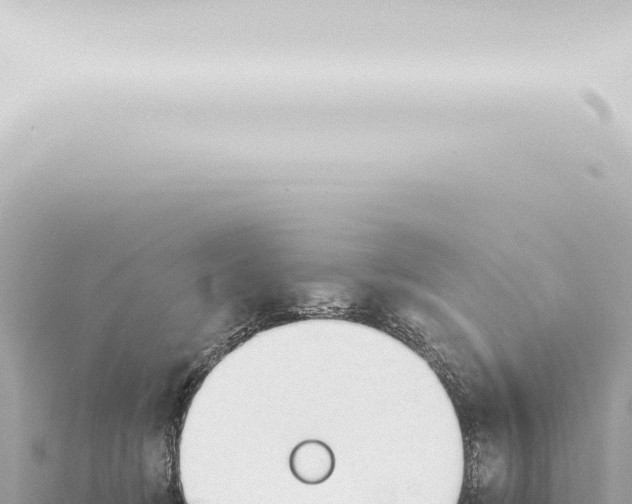 X0000115420370200912011251