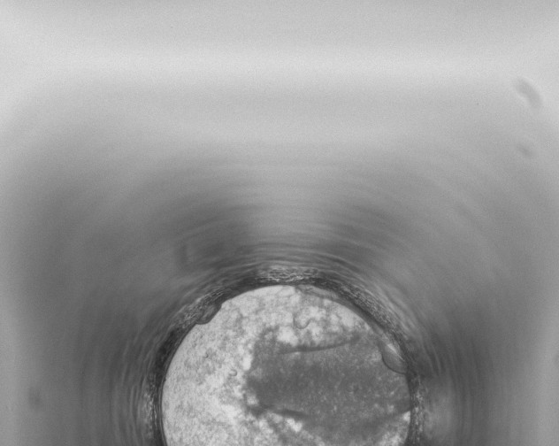 X0000115420371200912011251