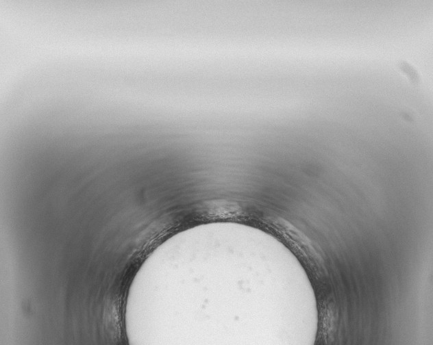 X0000115420373200912011251