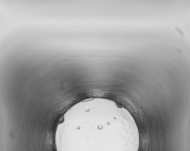 X0000115420374200912011251