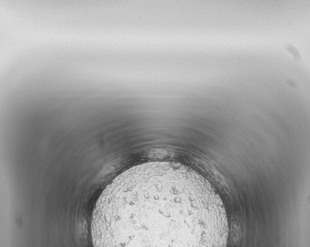 X0000115420375200912011251