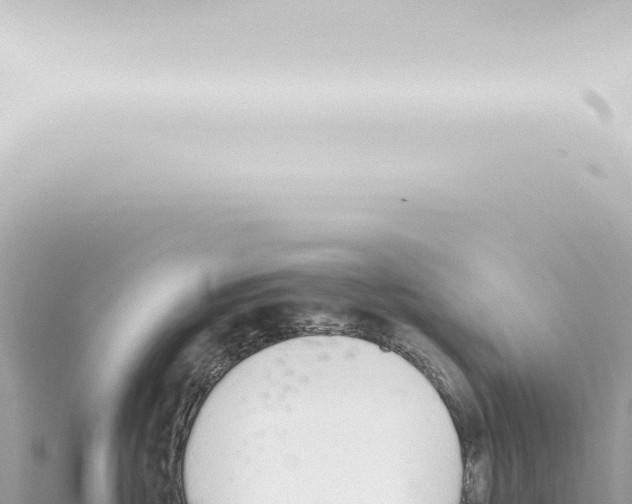 X0000115420381200912011251