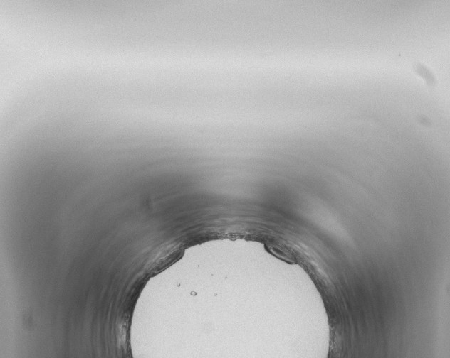 X0000115420382200912011251