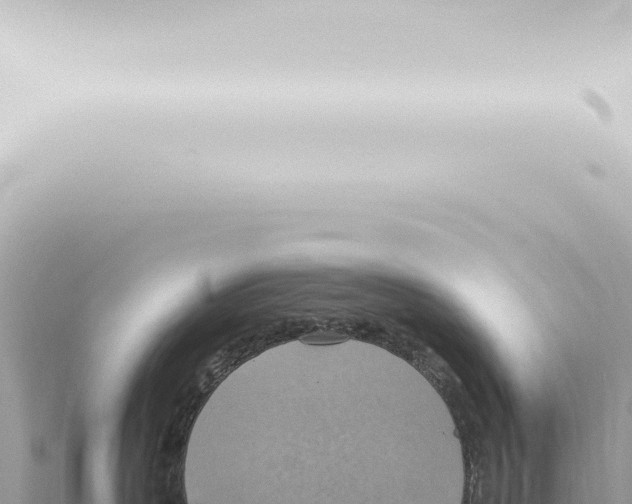 X0000115420383200912011251