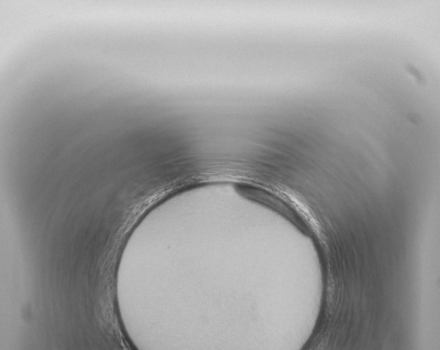 X0000115420385200912011250