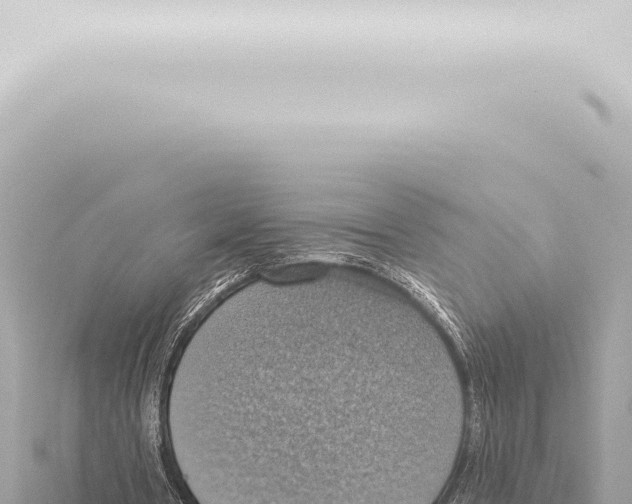 X0000115420386200912011250