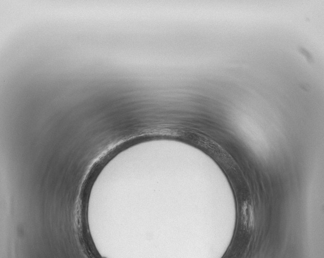 X0000115420388200912011250