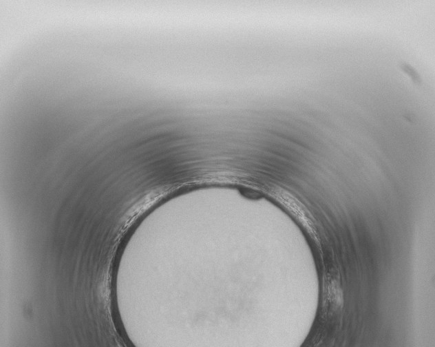 X0000115420389200912011250