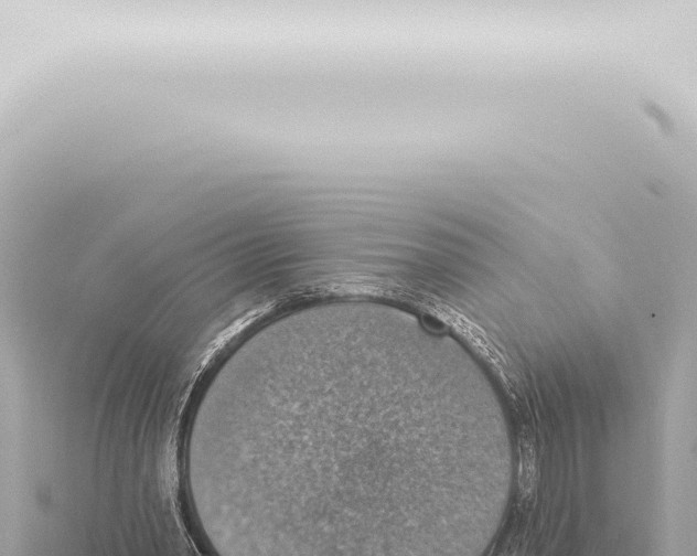 X0000115420390200912011250