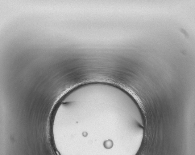 X0000115420391200912011250