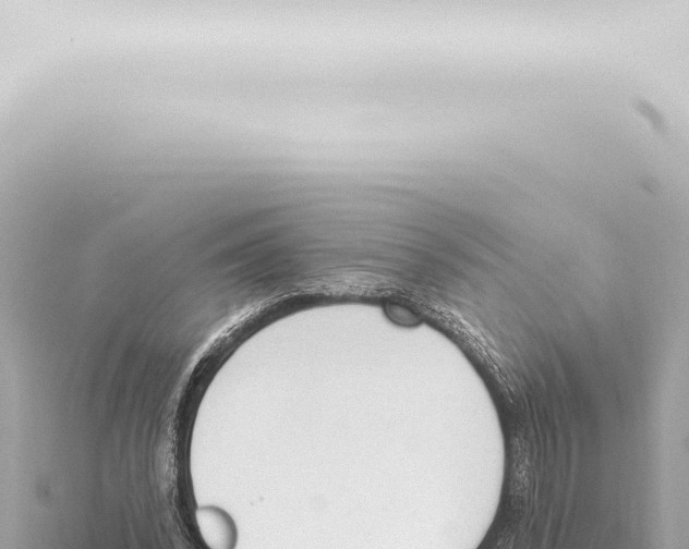 X0000115420392200912011250